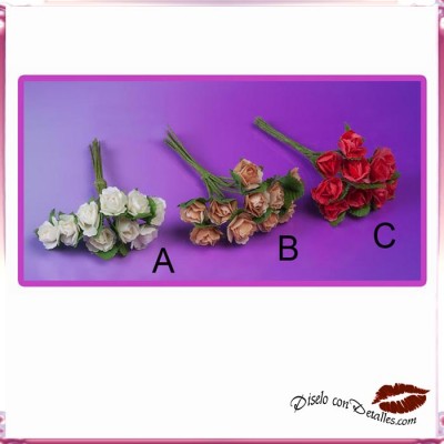 Cravos em Varias Cores