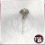 Alfinetes Leques