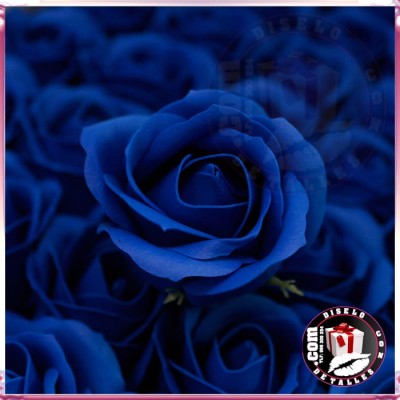 Rosas de Sabão 50 unidades Azul