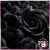 Rosas de Jabón Packs 50 uds Negras